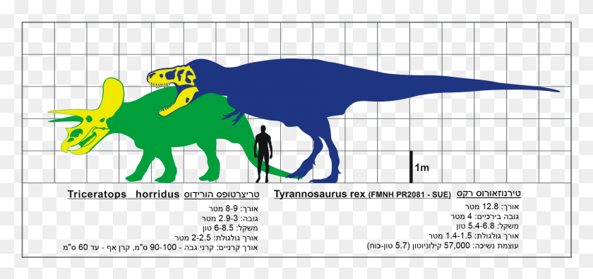1894x818 T Rex Ve Triceratops Svg На Иврите Тираннозавр Рекс Размер, Динозавр, Рептилия, Животное Hd Png Скачать