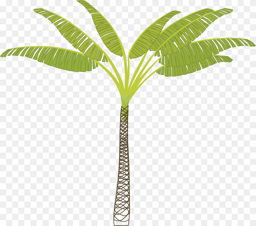 2400x2114 T Shaped Palm Tree, Leaf, Palm Tree, Plant, Vegetation Transparent PNG