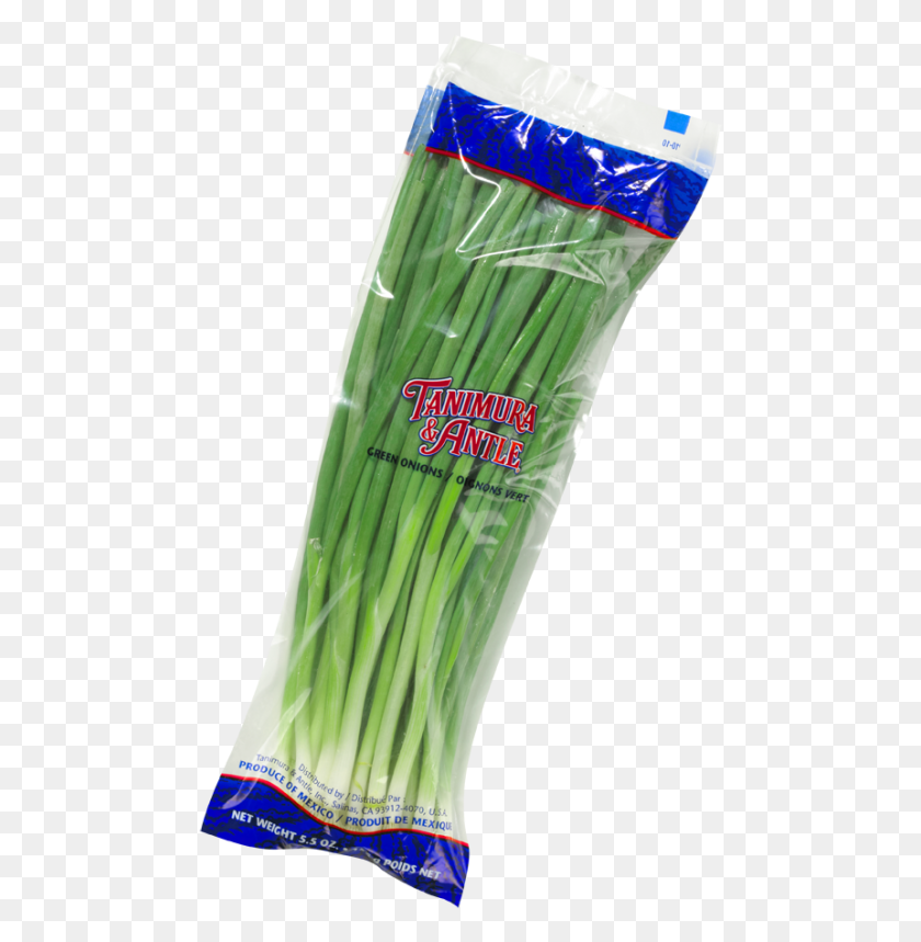 478x799 Ta Single Green Onion Bag Leek, Plant, Vegetable, Food HD PNG Download