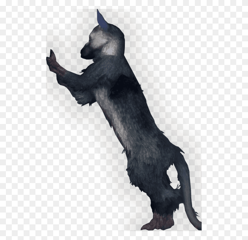 527x753 Table Of Contents For Chrome Last Guardian Trico Standing, Bird, Animal, Outdoors Descargar Hd Png