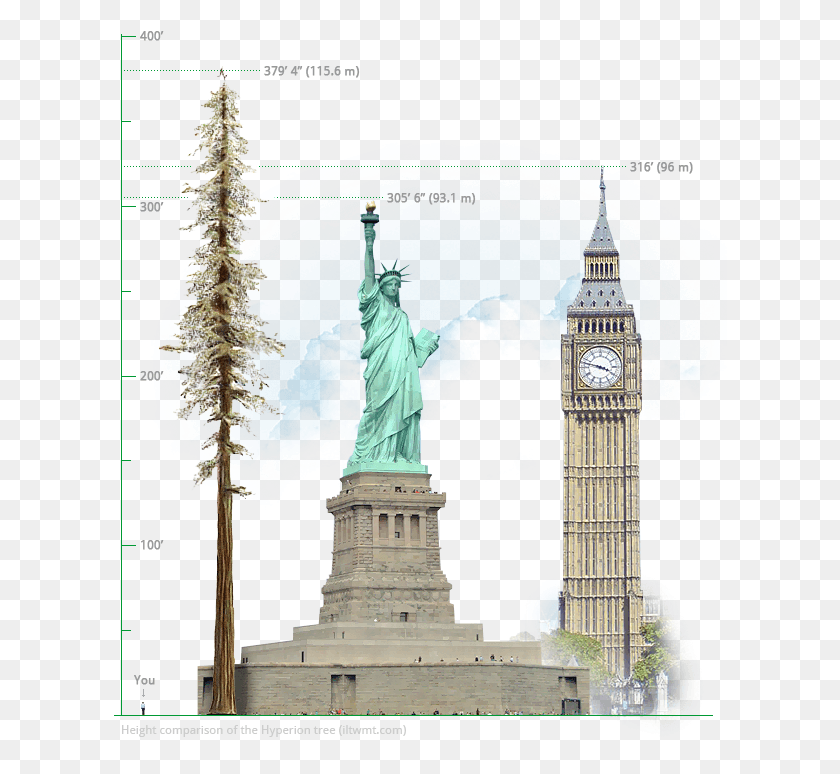 614x714 Tag Trees Statue Of Liberty, Clock Tower, Tower, Architecture HD PNG Download