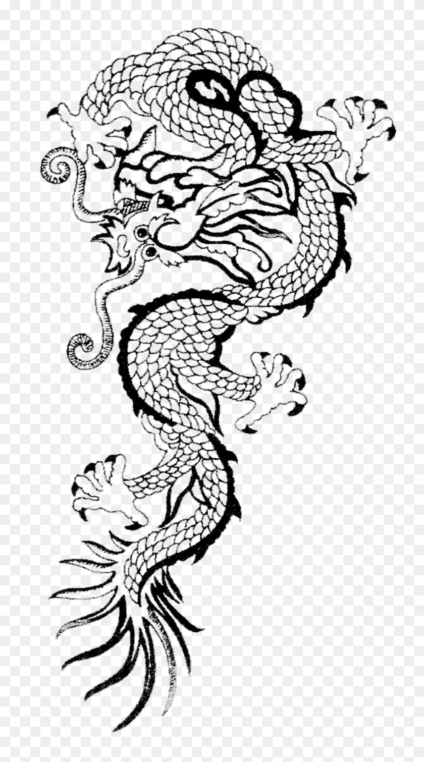1101x2048 Take A Look At The Chinese New Year Celebration, Animal, Dragon, Amphibian HD PNG Download