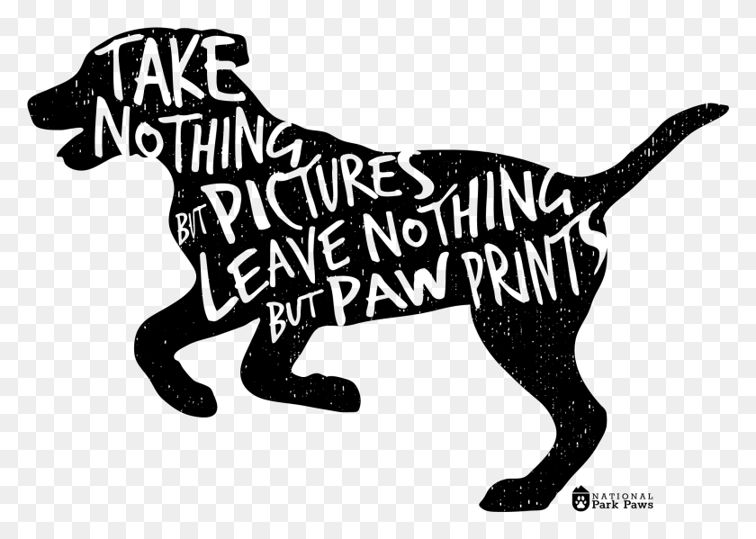 2004x1387 Take Nothing But Pictures Leave Nothing But Paw Prints Hunting Dog, Gray, World Of Warcraft HD PNG Download