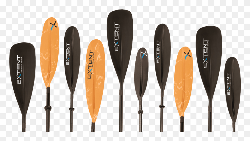 1556x825 Take Paddling To The Fullest Surfboard, Oars, Paddle HD PNG Download
