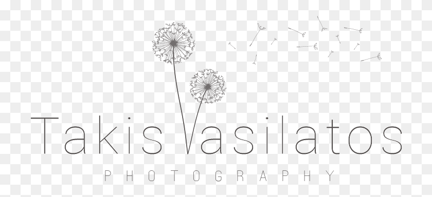 724x324 Takis Vasilattos Photography Dandelion, Plant, Text, Flower HD PNG Download