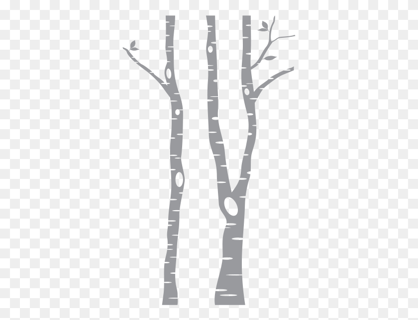 349x584 Tall Birch Tree Wall Decal, Cutlery, Plot, Stencil HD PNG Download