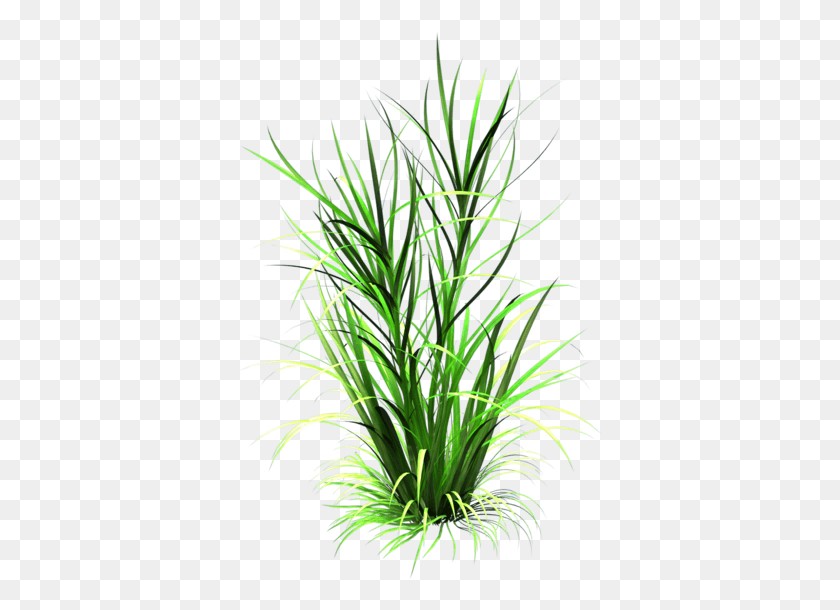 365x550 Tall Grass Texture Cartoon Grass Texture, Plant, Flower, Blossom HD PNG Download