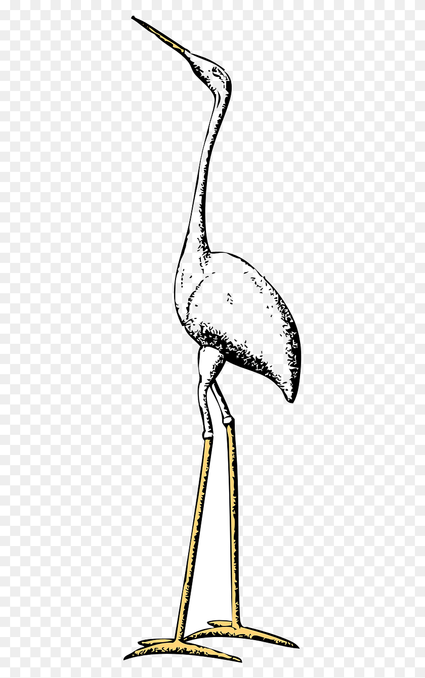 357x1281 Tall Stork, Bow, Hand, Sport HD PNG Download