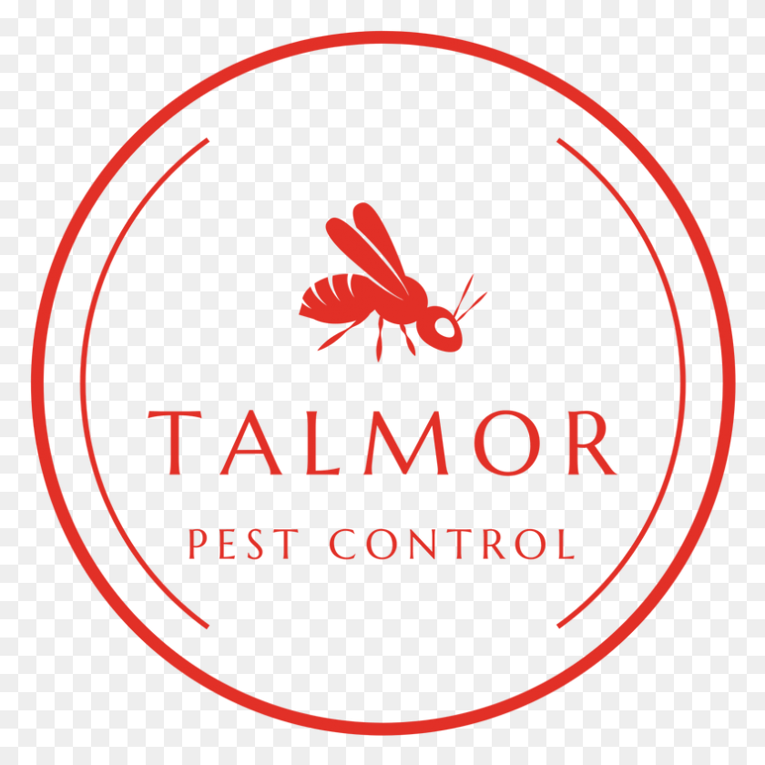 787x787 Talmor Pest Control Alcoholics Anonymous Symbol, Insect, Invertebrate, Animal HD PNG Download