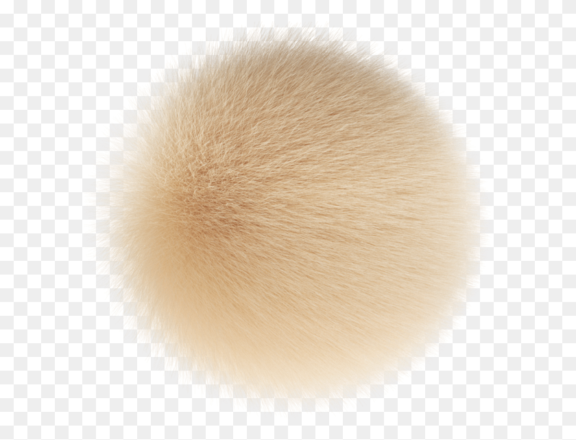 598x581 Tan, Brush, Tool, Sponge HD PNG Download