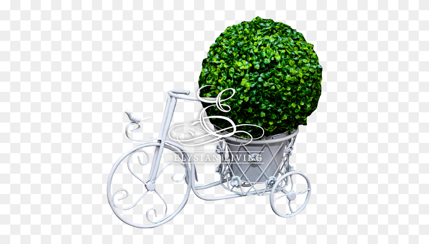 425x418 Descargar Pngtandeem Bicicleta Flor Stand Rickshaw, Vehículo, Transporte, Bicicleta Hd Png