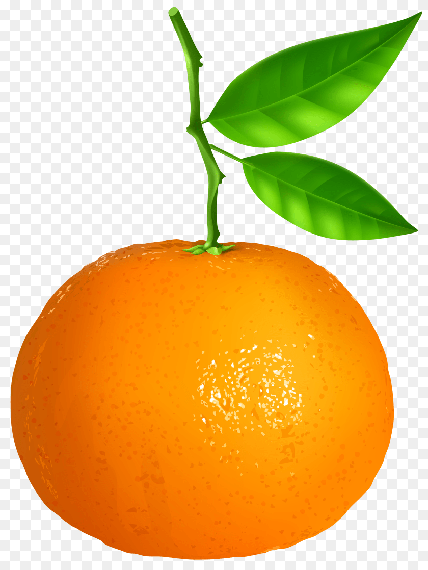 Tangerine Transparent Clip Art, Citrus Fruit, Food, Fruit, Grapefruit Sticker PNG
