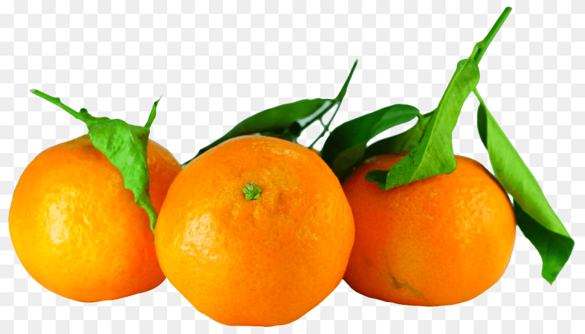 1223x699 Tangerines With Leaves Image, Citrus Fruit, Food, Fruit, Orange Sticker PNG