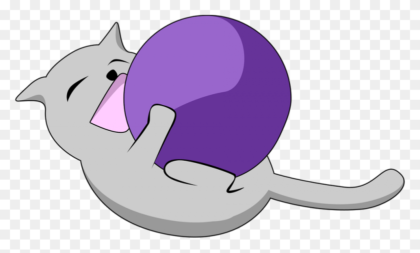 960x551 Tangle Cat Kitten Free Image On Pixabay Cat, Clothing, Apparel, Shark HD PNG Download