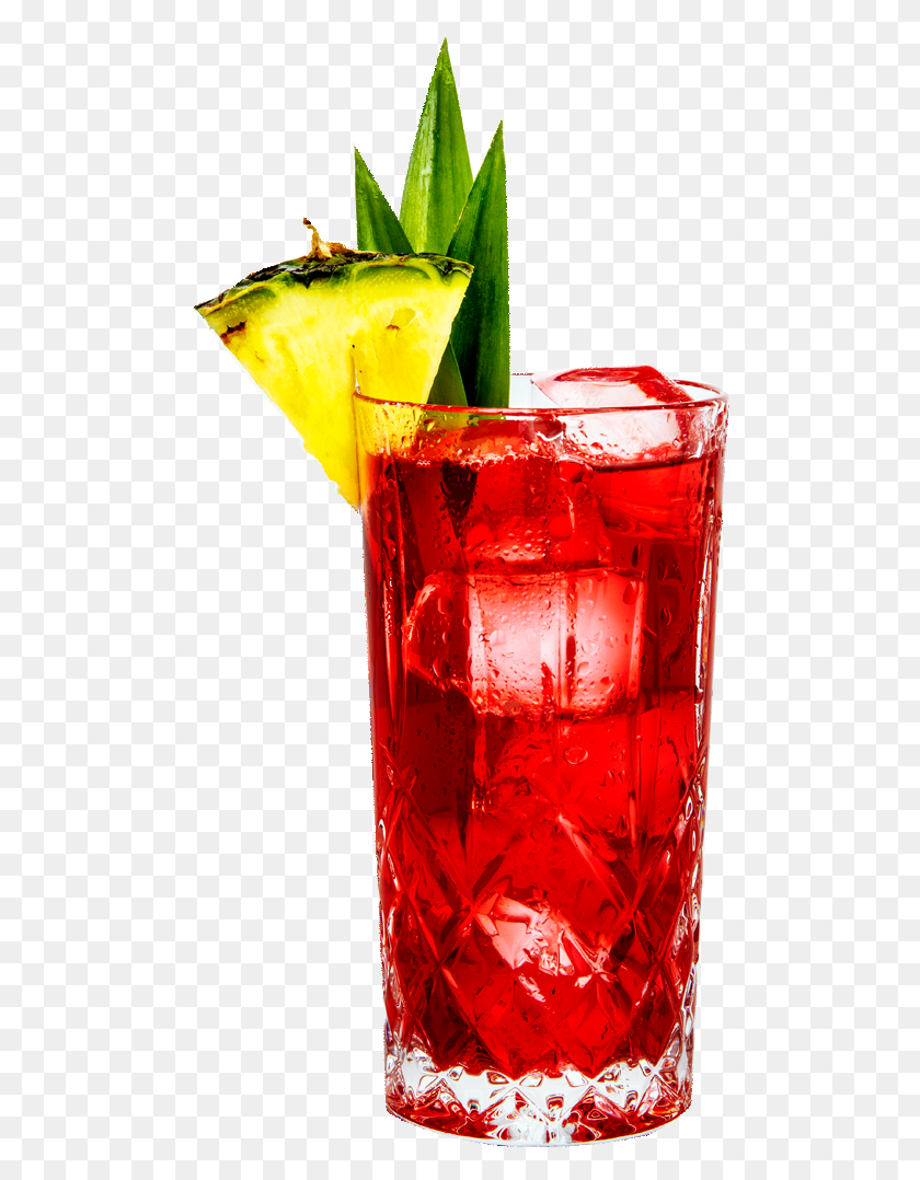 492x1018 Tanqueray Cranberry Pineapple Gin Amp Juice Cape Cod, Cocktail, Alcohol, Beverage HD PNG Download