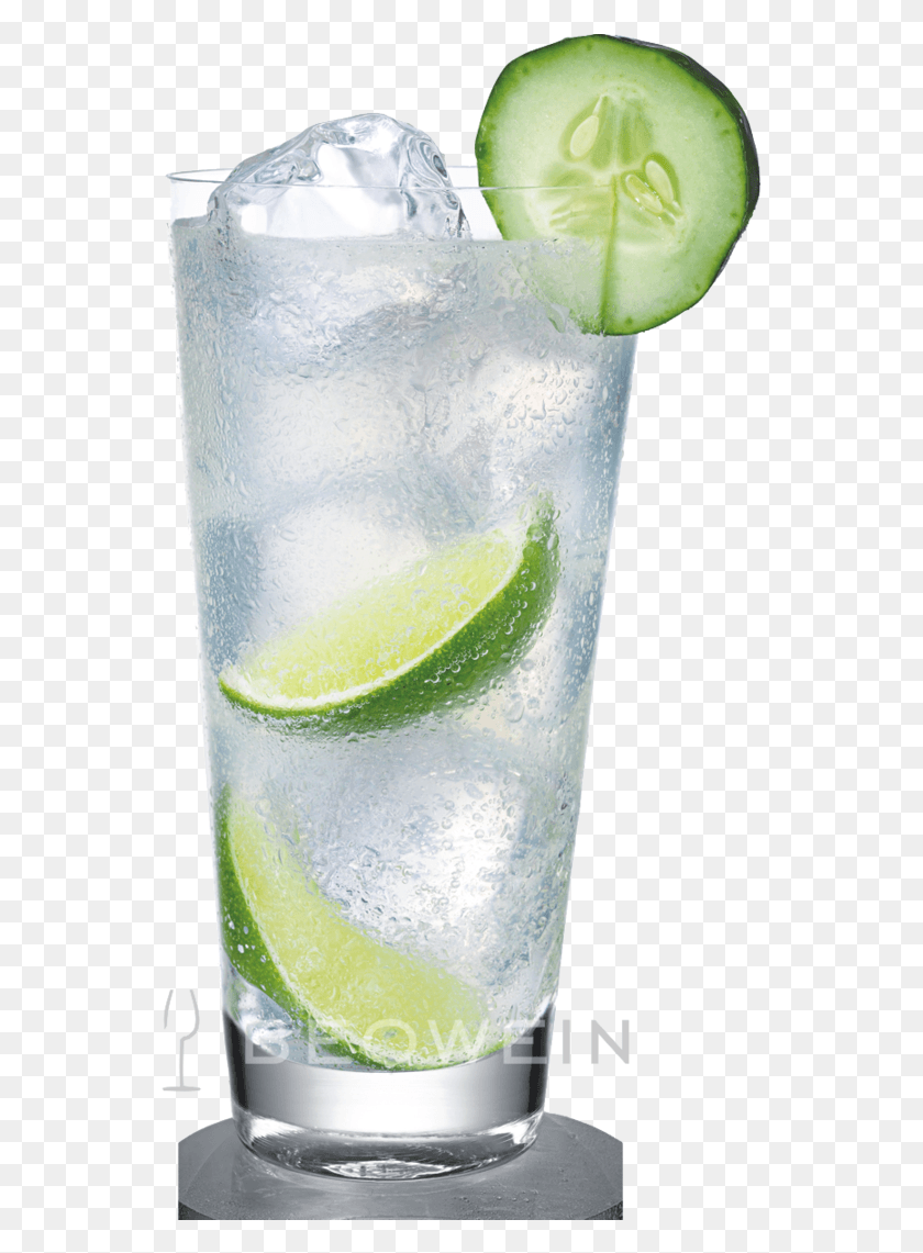 547x1081 Descargar Pngtanqueray London Dry Gin 07 L Tanqueray London Dry Gin Mezclas, Leche, Bebida, Bebida Hd Png