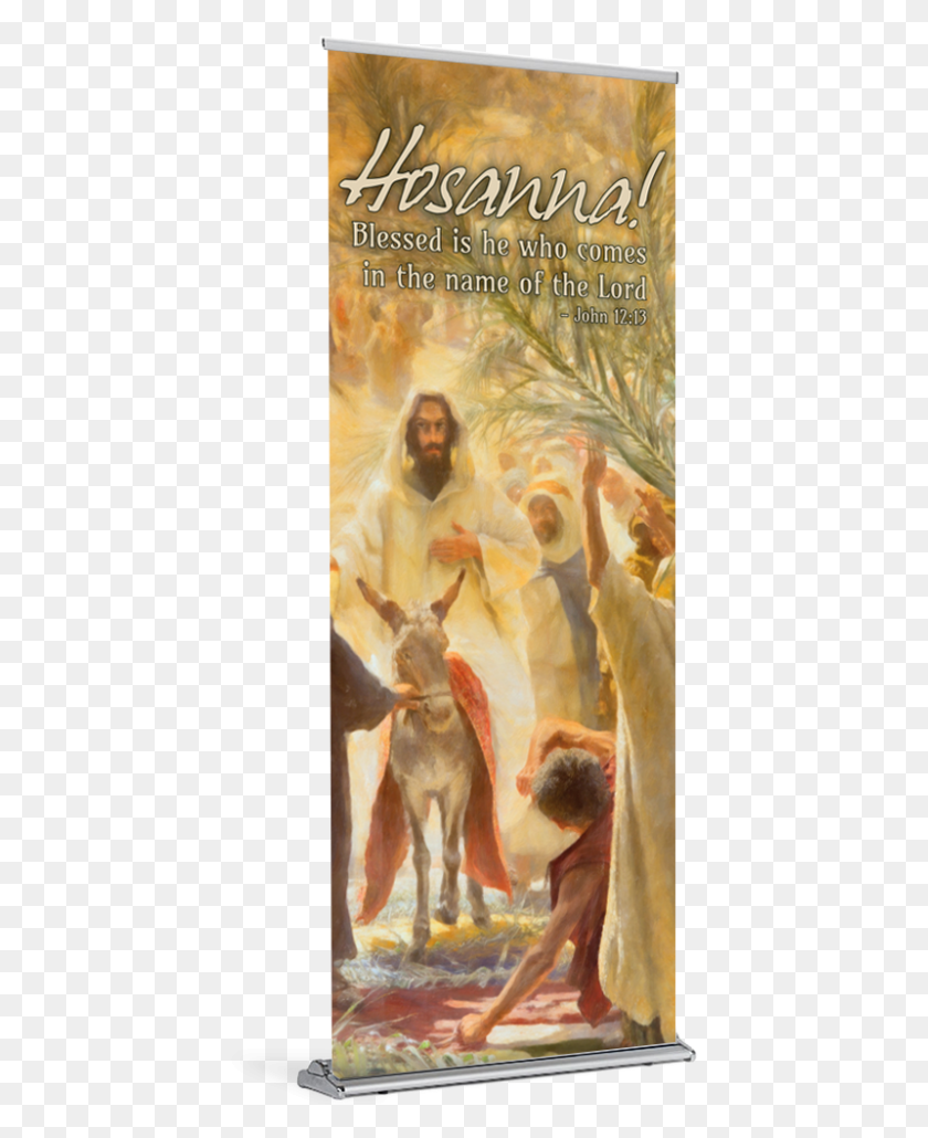 424x970 Tap To Expand Jesus Palm Sunday, Person, Human HD PNG Download