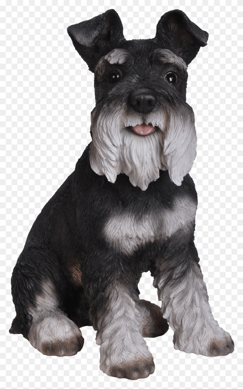 1326x2186 Tap To Expand Miniature Schnauzer, Dog, Pet, Canine HD PNG Download