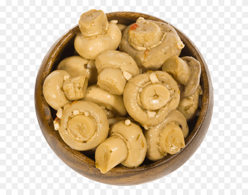 609x600 Tapas De Setas Vegetales Png / Vegetal Hd Png