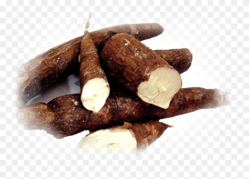 1812x1268 Tapioca Cassava Cassava The Same As Tapioca, Plant, Produce, Food HD PNG Download