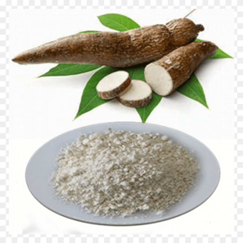 1642x1642 Tapioca Starch, Plant, Nut, Vegetable HD PNG Download