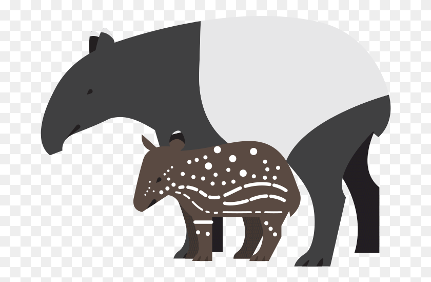684x489 Tapir Clipart Denver Zoo Hippopotamus Clip Art Tapir Transparent, Mammal, Animal, Housing HD PNG Download