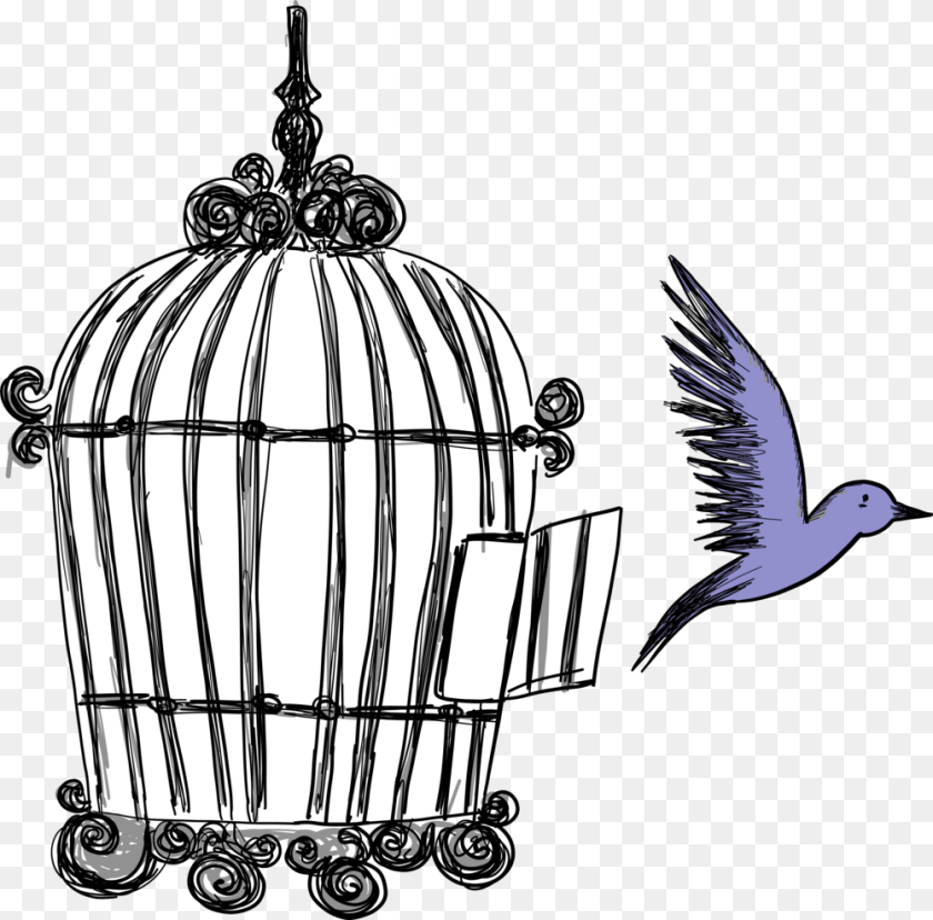 Tarot Uncaged Bird, Chandelier, Lamp, Animal Sticker PNG