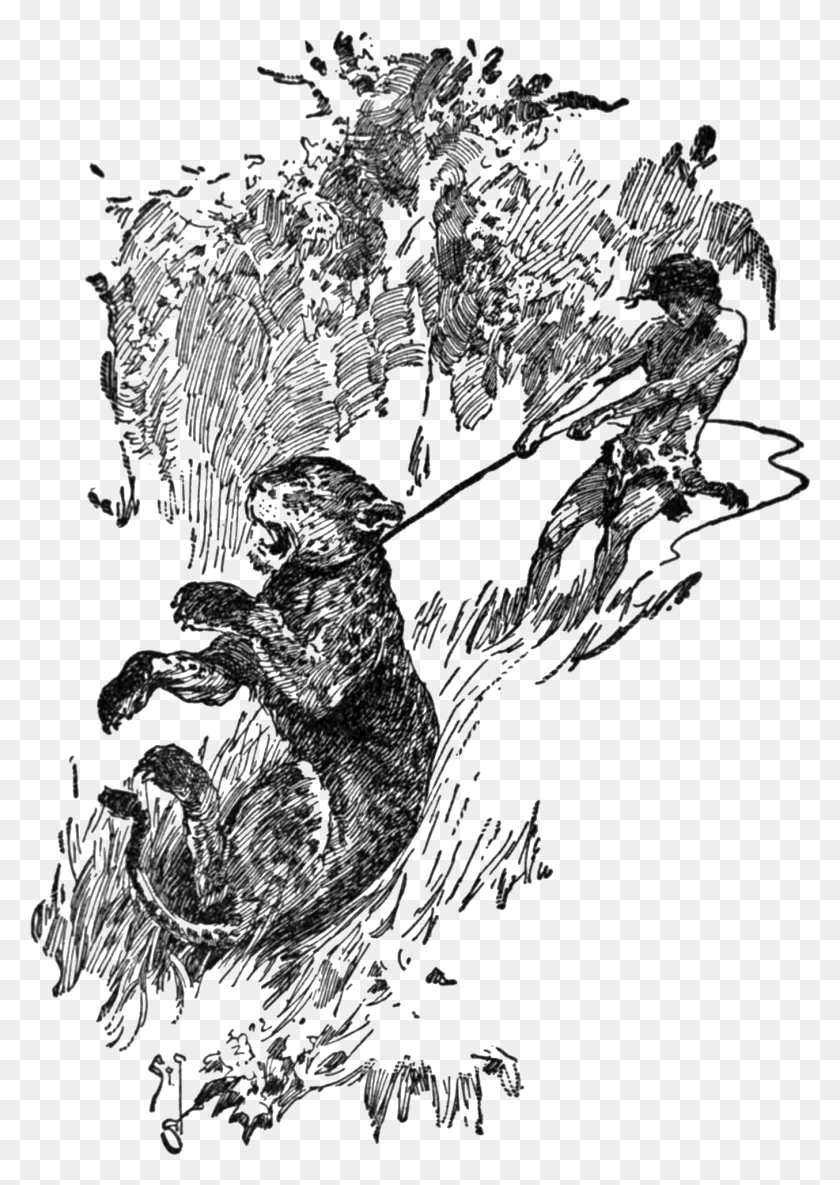 1354x1954 Тарзан Амп Ловушка В Джунглях Сказки О Джунглях, Природа, На Открытом Воздухе Hd Png Скачать