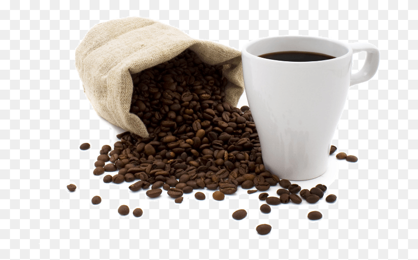 688x462 Tasa De Cafe Caf, Coffee Cup, Cup, Plant HD PNG Download