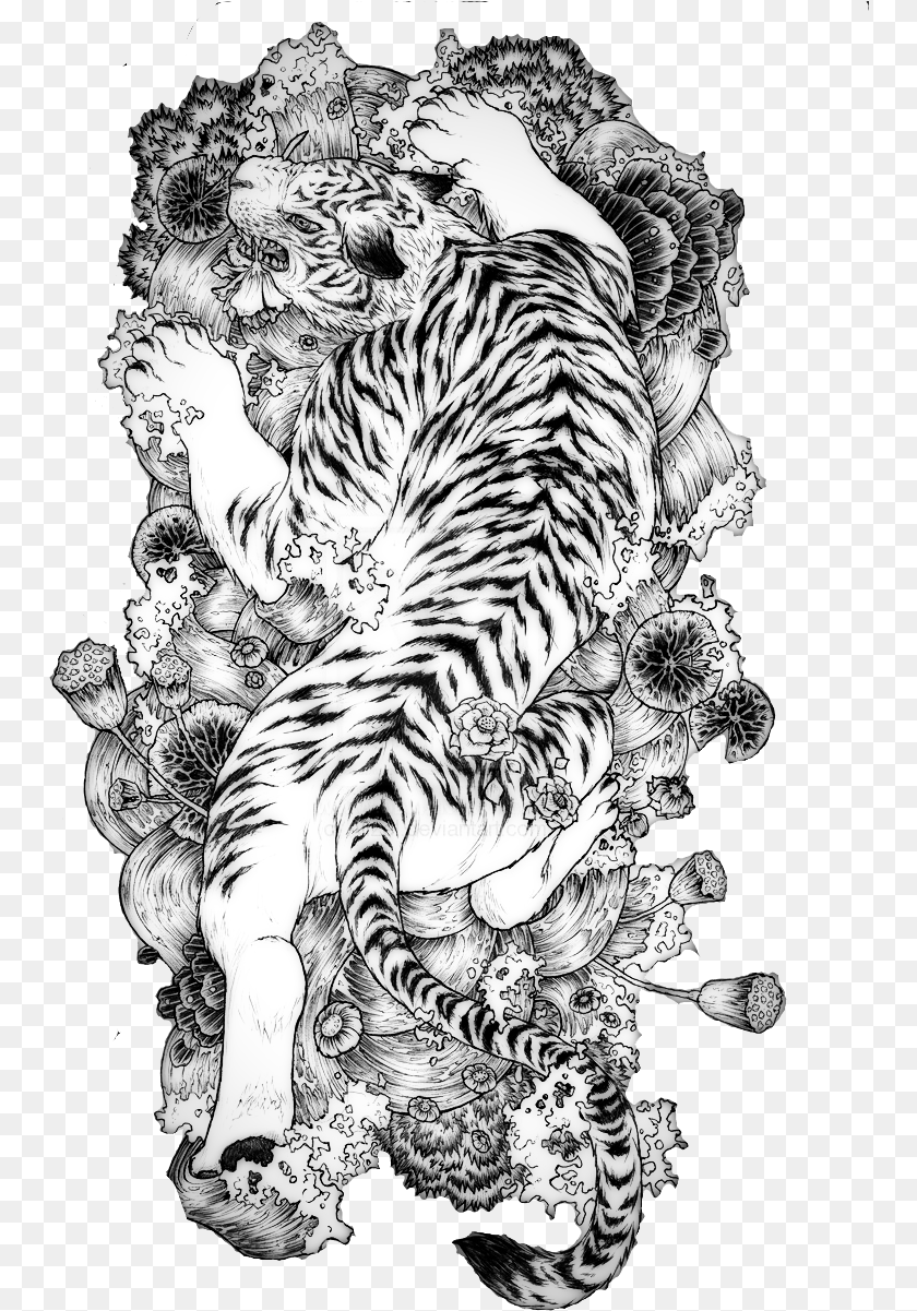 752x1201 Tattoo Chinese Dragon Tiger China White Traditional Chinese Dragon And Tiger Tattoo, Art, Drawing, Animal, Mammal Sticker PNG