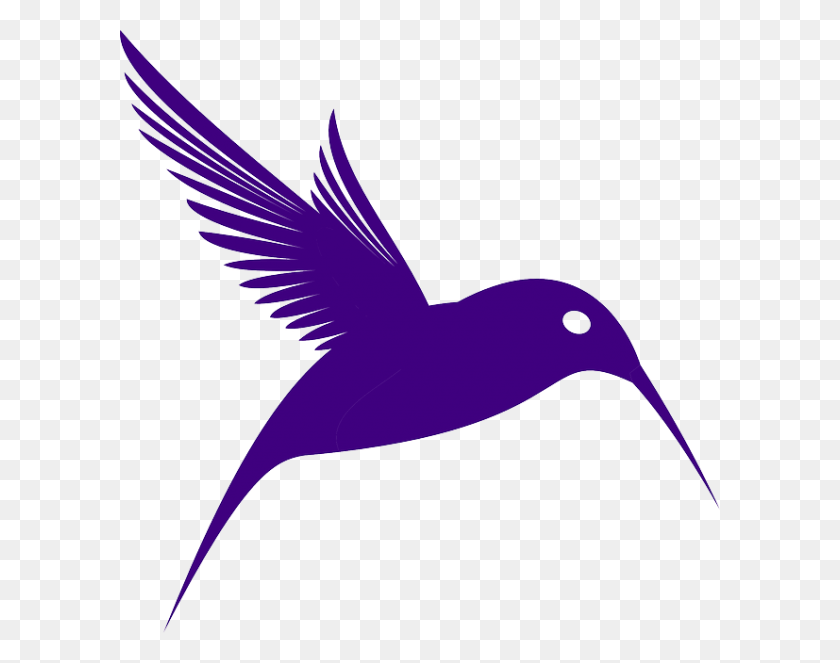 600x603 Tattoo Designs Jack Skellington Purple Bird, Animal, Hummingbird, Beak HD PNG Download