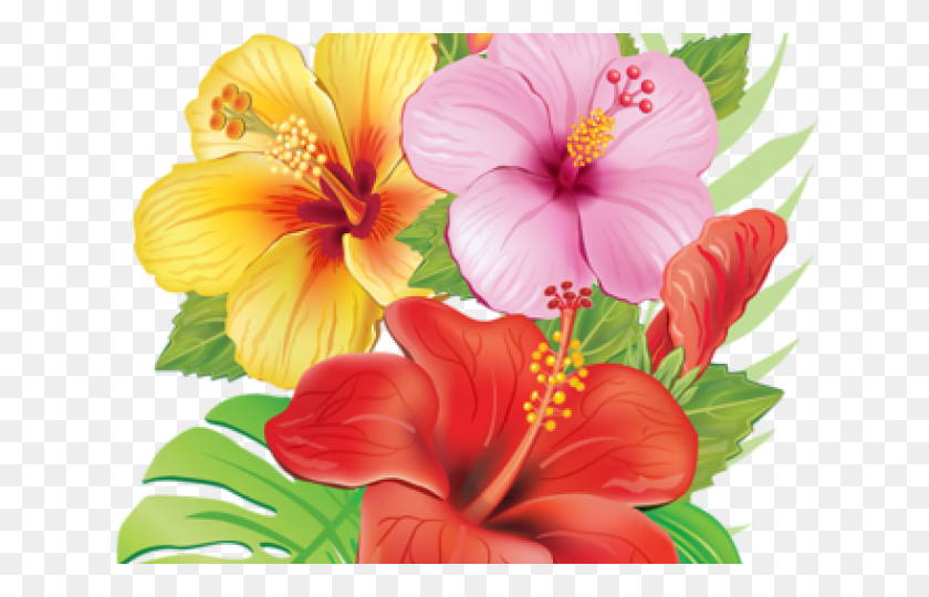 640x480 Татуировка Тропические Цветы, Растение, Гибискус, Цветок Hd Png Скачать