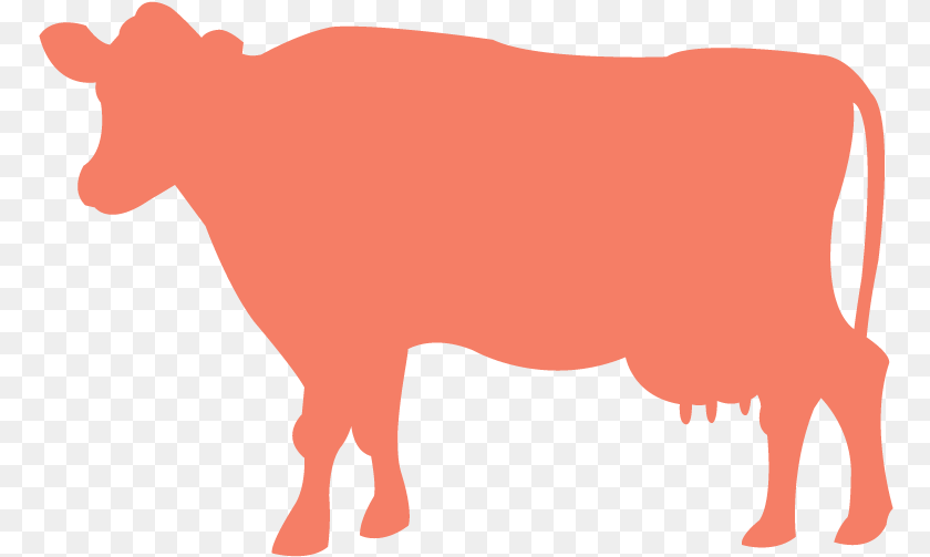 Taurine Cattle Silhouette Clip Art, Animal, Livestock, Mammal, Bull PNG