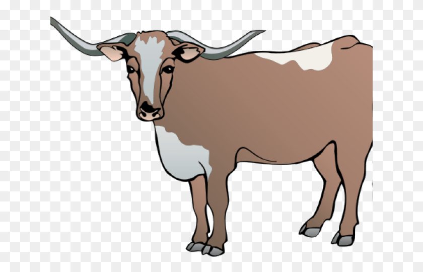 640x480 Taurus Clipart Bull Horn Transparent Longhorn, Mammal, Animal, Cattle HD PNG Download
