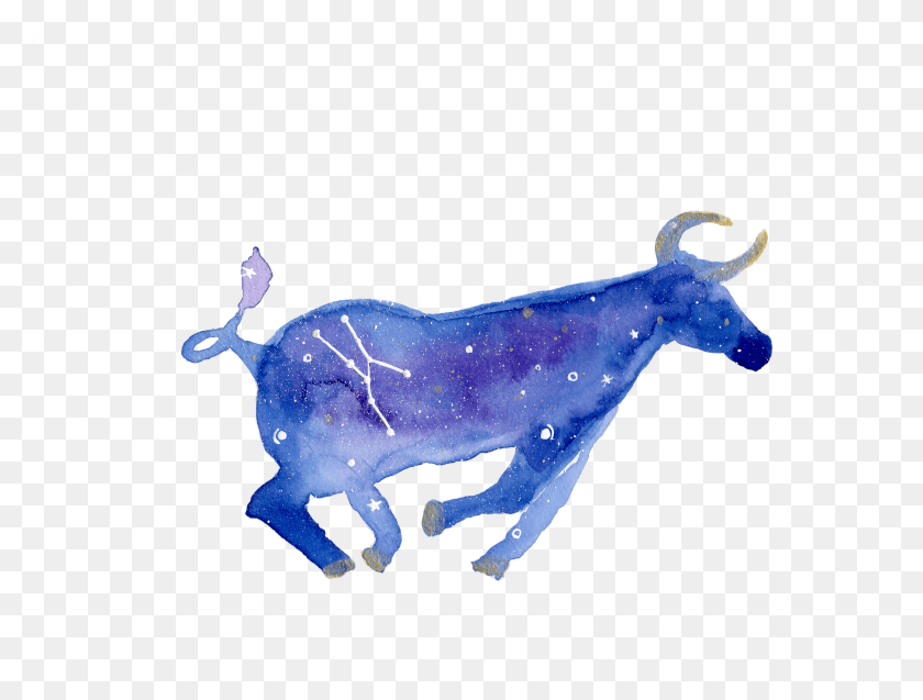 7117x5267 Taurus Ink And Watercolor HD PNG Download