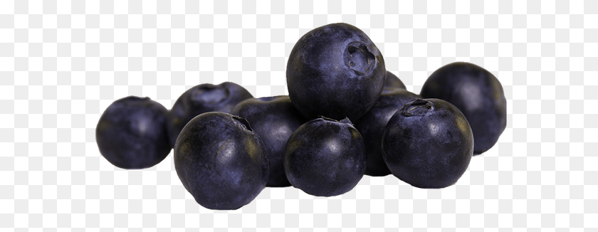 585x266 Tbsp Butter Blueberries Blueberry, Plant, Fruit, Food HD PNG Download