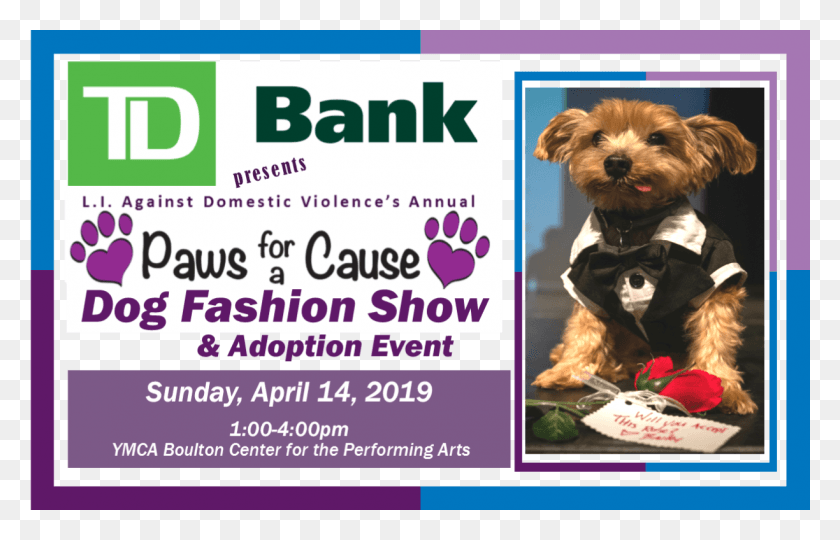 1224x754 Descargar Png Td Bank 39S Paws For A Cause Perro Png