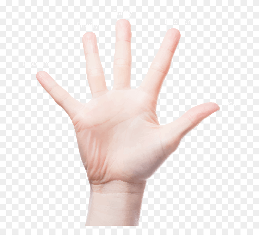 693x701 Tdg Hand Sign Language, Wrist, Person, Human HD PNG Download