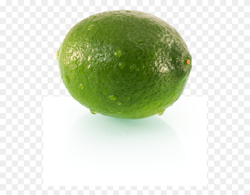 551x596 Te Puna Limes Story Growing Superior Fresh Delivered Persian Lime, Tennis Ball, Tennis, Ball HD PNG Download