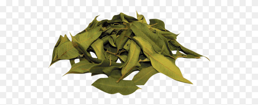531x282 Листья Чая Сушеные Листья Лимона, Лист, Растение, Овощи Hd Png Скачать