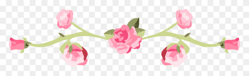 1440x364 Tea Rose Border, Plant, Flower, Blossom HD PNG Download