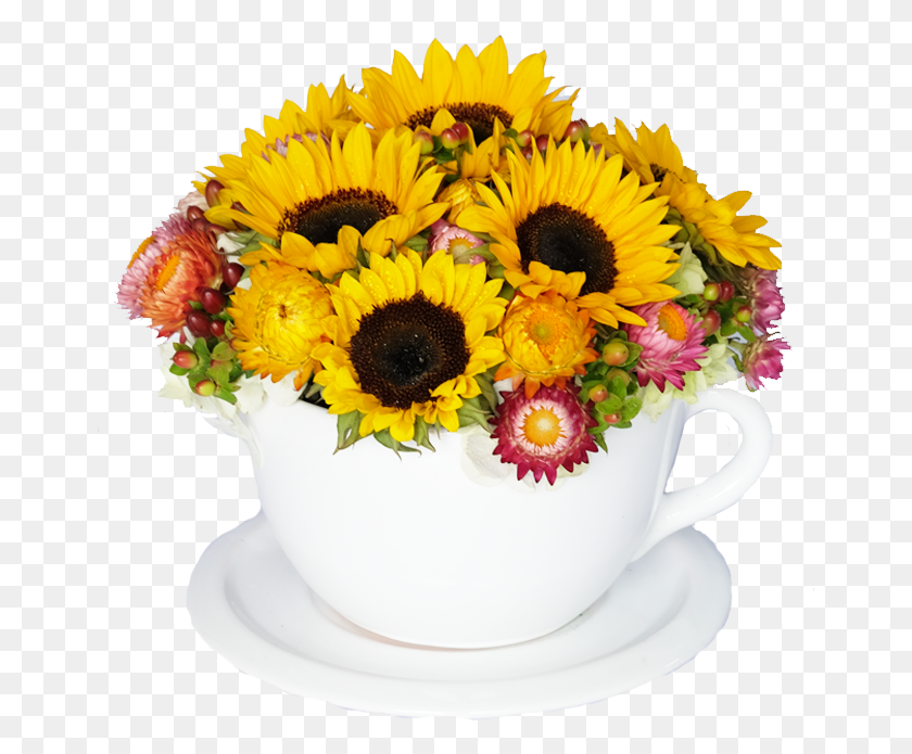 661x635 Tea Time Girasoles Bouquet, Plant, Saucer, Pottery HD PNG Download