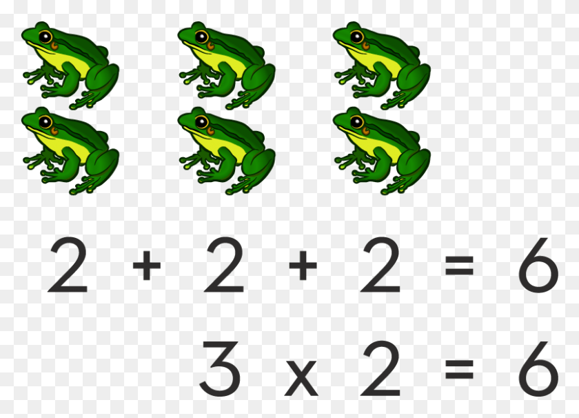 800x560 Teaching The Concept Of Multiplication Agalychnis, Frog, Amphibian, Wildlife HD PNG Download