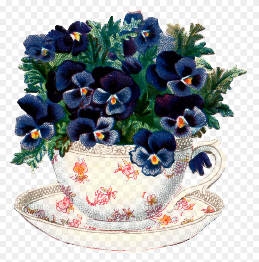 969x980 Teacup Pansy Vintage Image Graphics Fairy Vintage Spring Clip Art, Pottery, Saucer, Plant HD PNG Download
