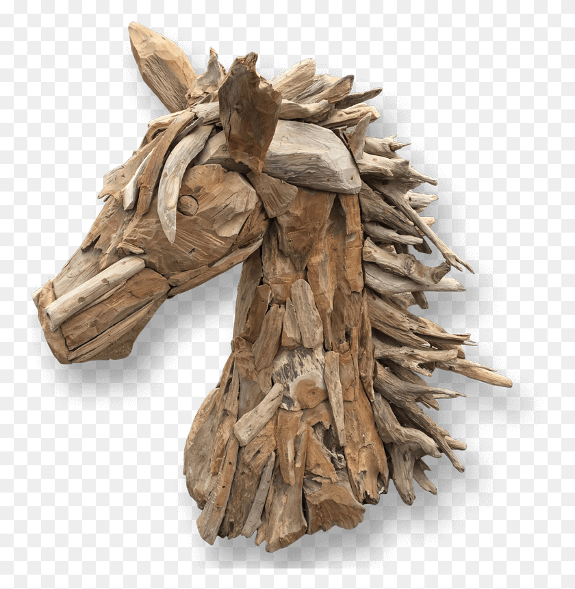 750x801 Скульптура Головы Лошади Из Тикового Корня, Дерево, Коряги, Почва Png Скачать