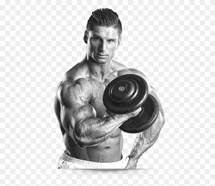 452x666 Team 28 Biceps Curl, Person, Human, Fitness HD PNG Download