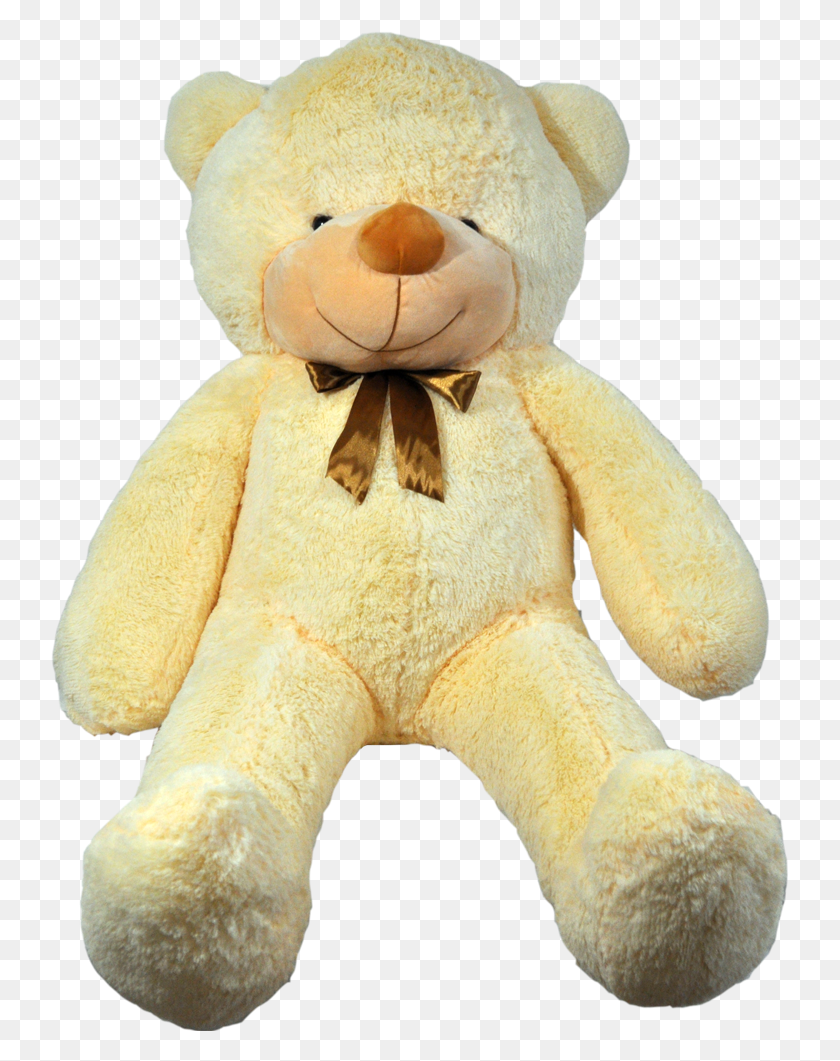 739x1001 Teddy Bear, Toy, Plush HD PNG Download