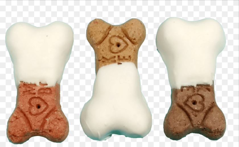 1023x631 Teddy Bear, Body Part, Person, Torso, Food Sticker PNG