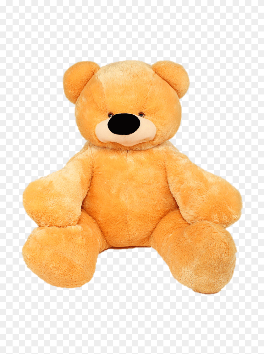 Teddy Bear, Plush, Teddy Bear, Toy Sticker PNG