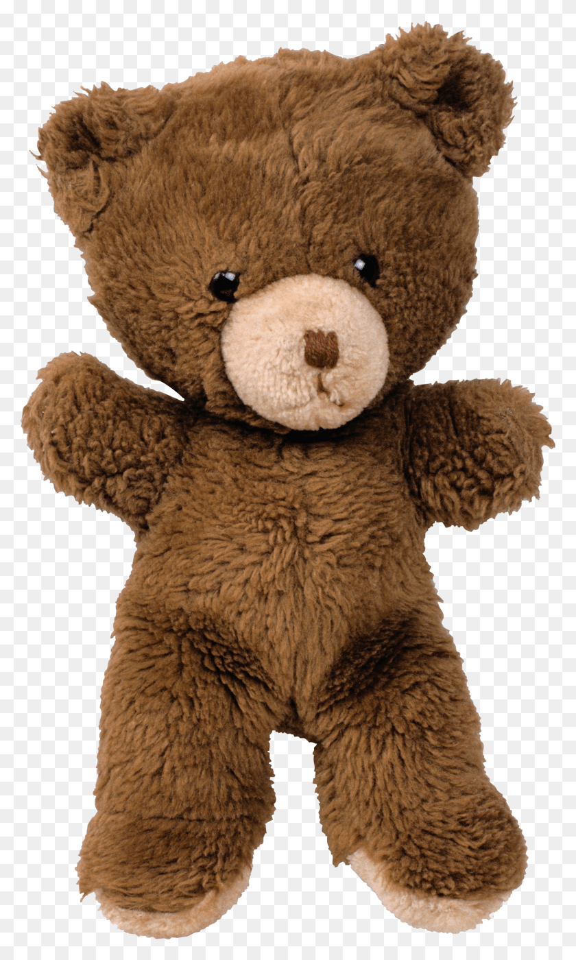 1649x2835 Teddy Bear Toy Bear HD PNG Download